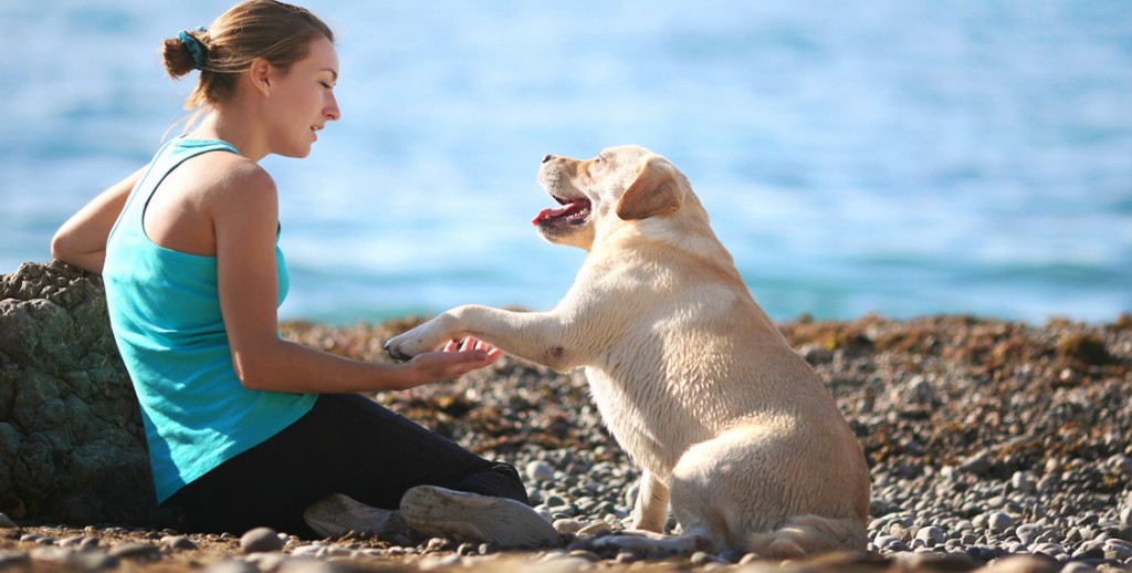 A woman with a dog on the beach