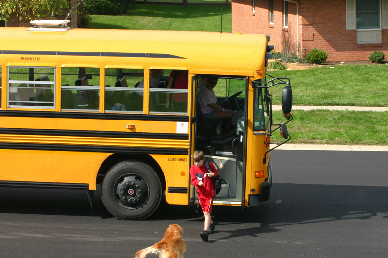 A dog meets a boy after school