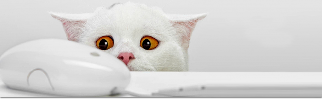 A cat scared by computer mouse