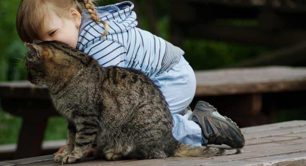 A cat plays with a little girl