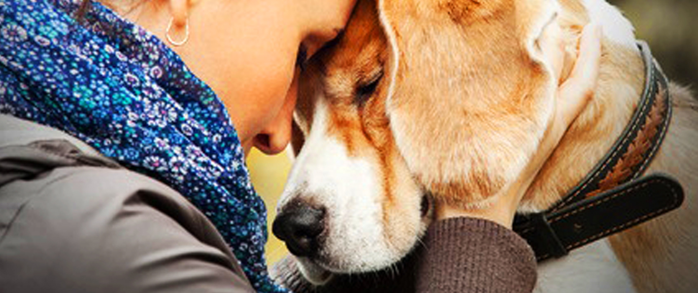 Surrender A Pet Joint Animal Services