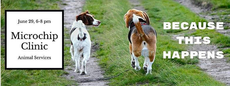 microchipping clinic