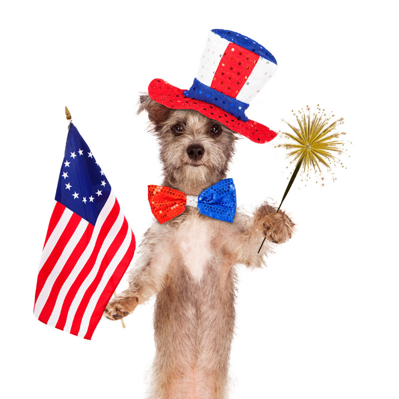 July4 - Joint Animal Services