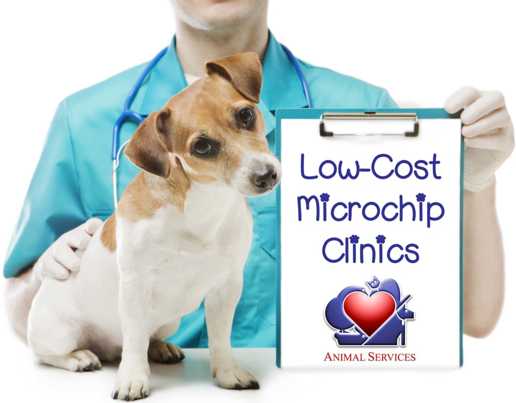 Microchip clinics joint animal services