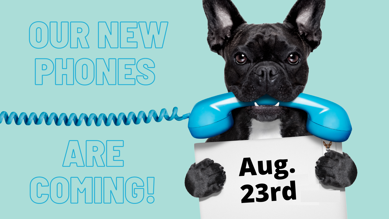 New Phones - Joint Animal Services
