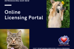 Licensing your pet has never been easier!