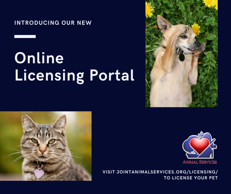 Licensing your pet has never been easier! - Joint Animal Services