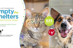 BISSELL Pet Foundation Brings Holiday Hope to Shelter Pets Across the Country