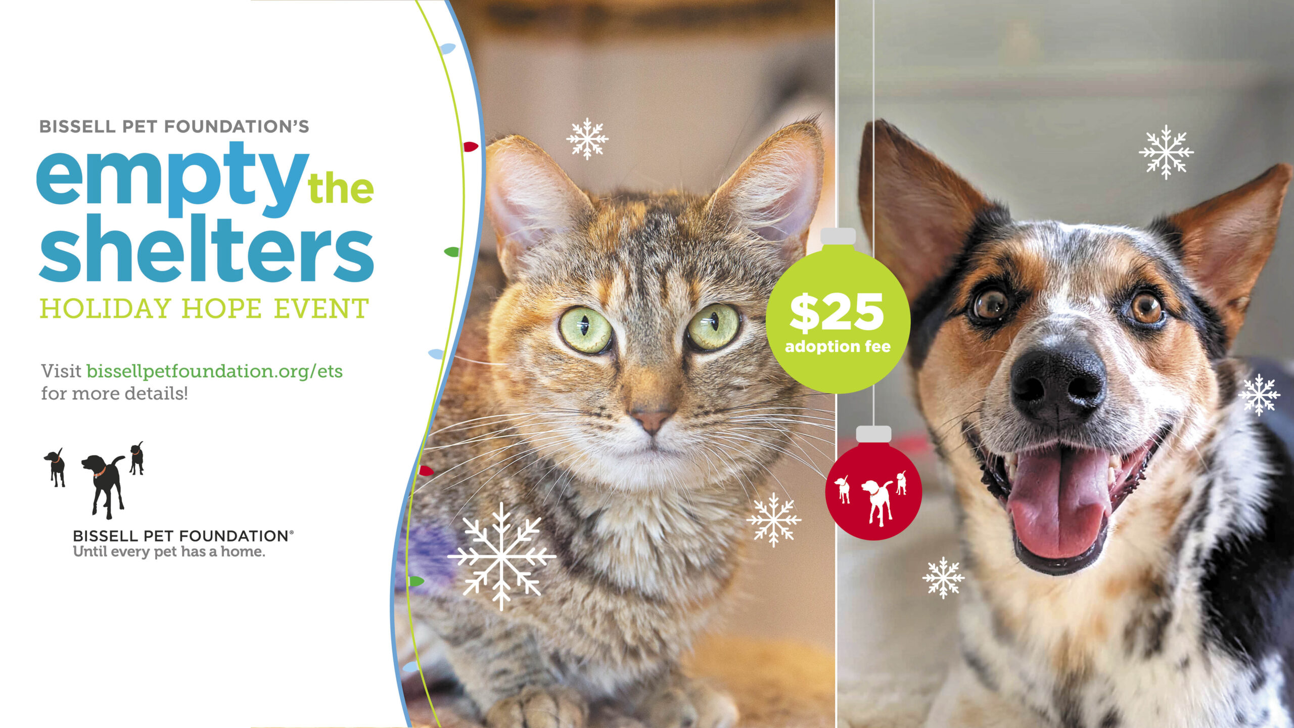BISSELL Pet Foundation Brings Holiday Hope to Shelter Pets Across the  Country - Joint Animal Services