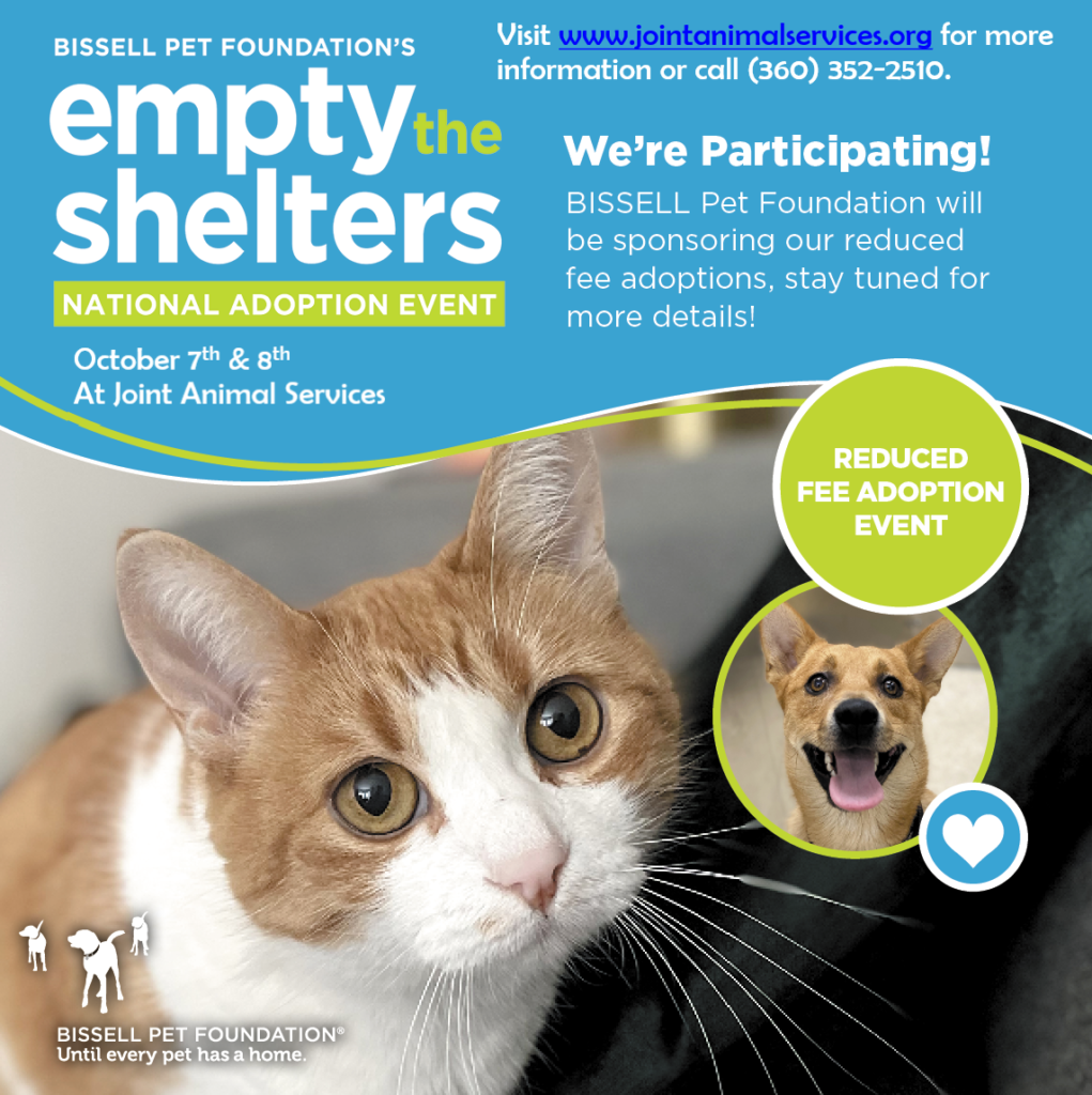 Bissell Empty The Shelters 2024 Netty Adrianna