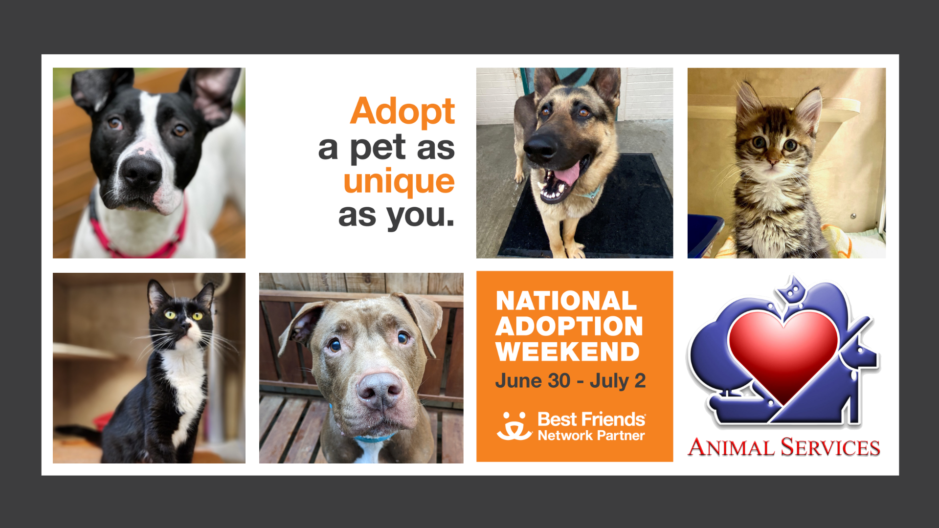 National Adoption Weekend June 30 July 1 Joint Animal Services