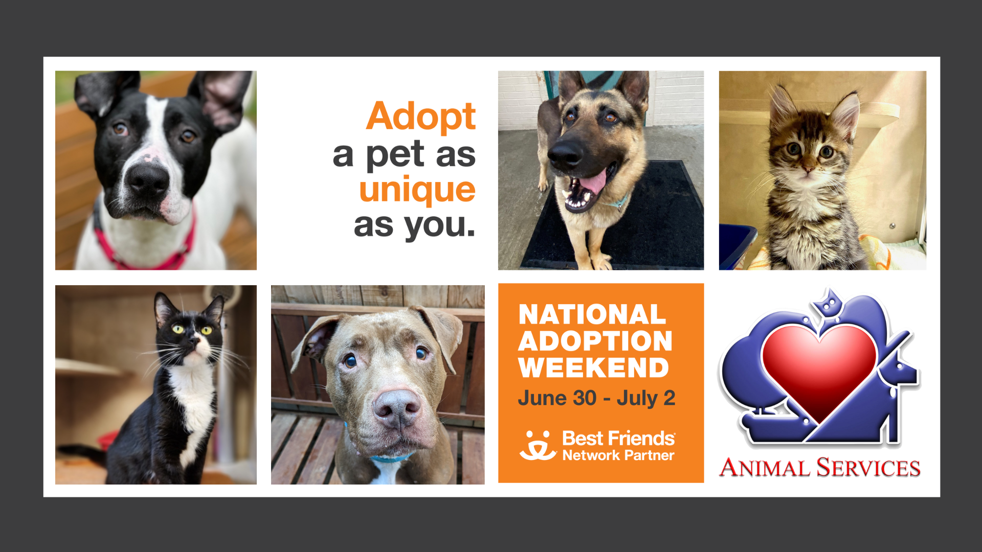 National pet sale adoption weekend