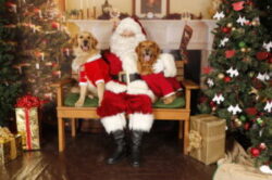 Santa Paws is Coming to Town!