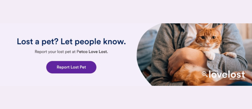 love lost english